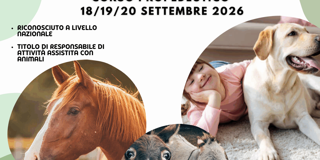 SOCIAL – IAA_CORSO PROPEDEUTICO _2026-4